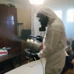 Дезинфекция от клопов в Рязани